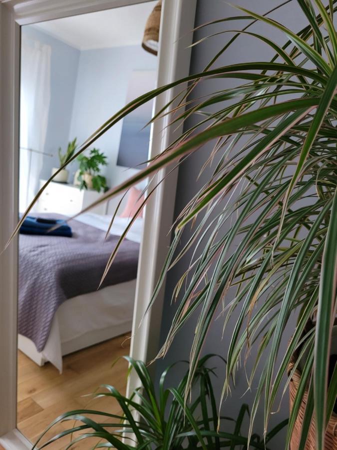 Maciejkowa Apartment *