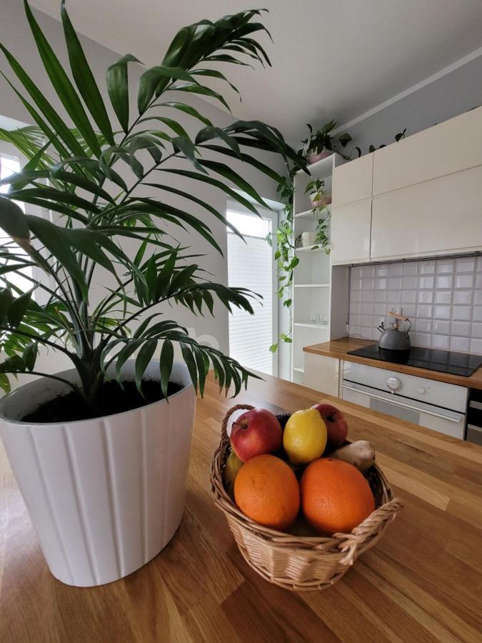 Apartment Maciejkowa
